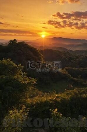 91麻豆精品自拍-探寻91麻豆的精品自拍，视觉艺术的独特视角与审美体验