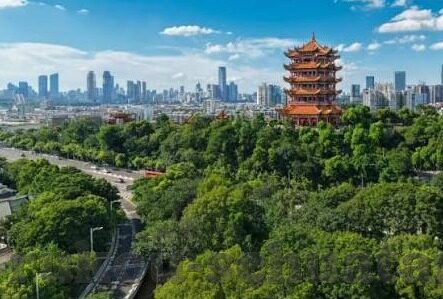 国产91麻豆果冻精品-国产91麻豆果冻精品，探索健康美味的本土魅力