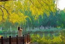 台湾麻豆传媒视频-窥探背后的数字迷雾——浅评台湾麻豆传媒视频现象